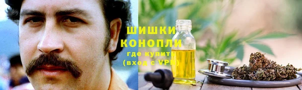 mdpv Козельск