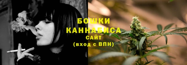 spice Кодинск