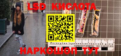 стаф Гай