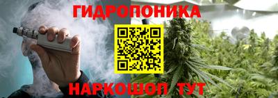 трава Гатчина