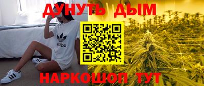 стаф Гай