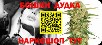 трава Гатчина