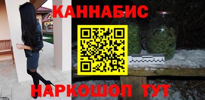 стаф Гай