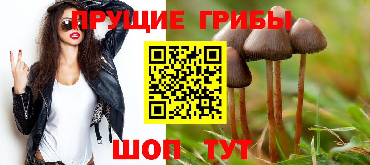 Псилоцибиновые грибы MAGIC MUSHROOMS Пермь